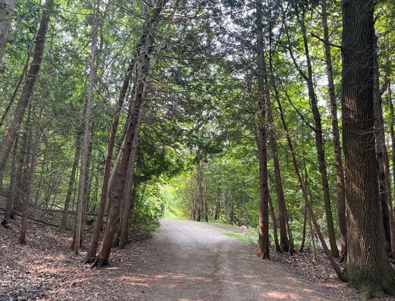 Motel near The historic Roxy Theatre